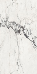 Michelangelo glossy 90 180