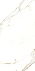 Calacatta Puro 60 120