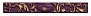 Petracers Primavera Romana Listello Logo Viola 32.5 4