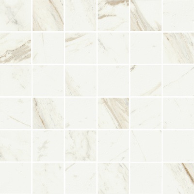 Российская плитка Coliseum Gres Trevi Trevi White Mosaico Nat 30 30