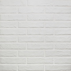 TRBC WHITE BRICK 6 25