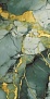Dream Gold 60 120