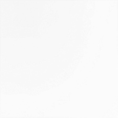 Alaska White Polished 60 60