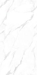 Ginza Porsch (1,44) 60 120