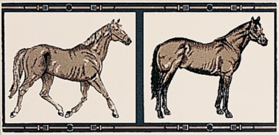 Итальянская плитка Petracer's Grand Elegance B HOR 08 horses su panna  10 20