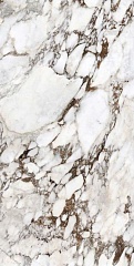 Les Bijoux Breche Capraia Glossy 60 120