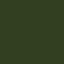 Verde Botella Brillo 20 20
