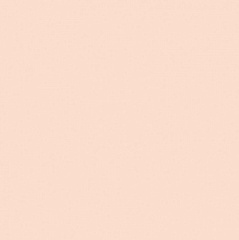 Pixel41 Rose 11,5 11,5