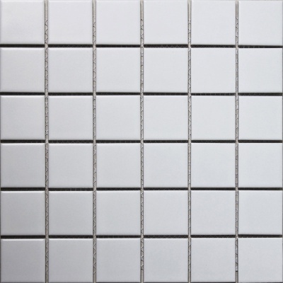 Китайская плитка StarMosaic Homework White Matt (WB31000/ID1005) (чип 4,8см.) 30.6 30.6