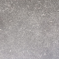 Vega ant Gris 33.3 33.3