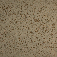 Beige Lapp.Rett. 80 80