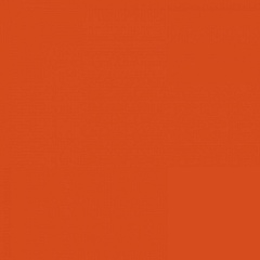 Pixel41 Lobster 11,5 11,5