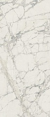 Prexious Mountain Treasure Glossy 6mm 120 280