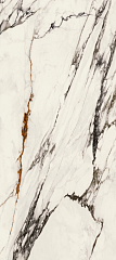 Xlight Paonazzo Biondo Polished 120 270