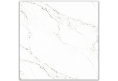 Carrara White 60 60