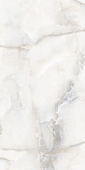 Aquarius Onyx Grey Polished 60 120