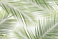 Brennero Tropic (2 pz) 50 75