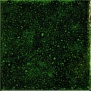 Carmen Genuine Emerald 10 10