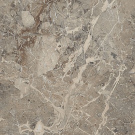 Breccia Boreale Brown Infinia Polished