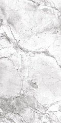 Portobello Polished 60 120