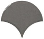 Scale Fan Dark Grey 10.6 12