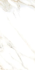 Calacatta Puro Lev. 60 120