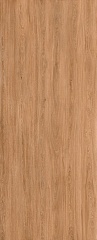 ZEN WOOD MAPLE 120X300