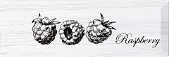 Fruit Laguna Raspberry 30х10