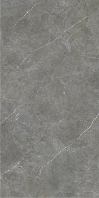 Испанская плитка Stn Ceramica Firenze FIRENZE GRIS MT 60X120 RECT. 60 120