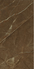 Плитка 262513 Emote Versace Home Pulpis Marrone 78х39 (Италия) 262513 Emote Versace Home Pulpis Marrone 78х39