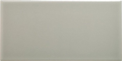 Испанская плитка Adex Neri ADNE1094 Liso PB Silver Mist 10 20