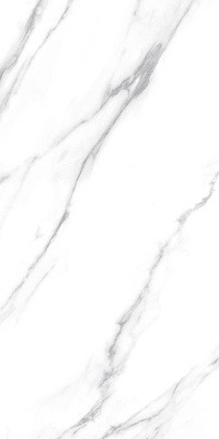 Испанская плитка Fanal Carrara Carrara Dec A NPlus 60 120