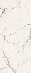 Calacatta Light Matt 60x120