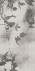Art Walls Shadow Nat R 60 120
