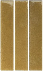 Nouvelle Dijon Gloss 3х16