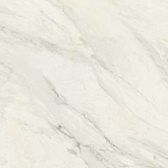 Calacatta Bianco Rect 80 80