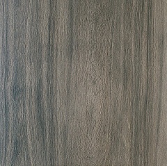 SG450700N | Якаранда черный 50.2 50.2