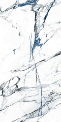 Oikos Blue 60 120