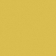 YourColor YC14 80 80