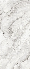 Camouflage Natural 120 278