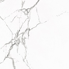 Statuario Venato Polished 60 60