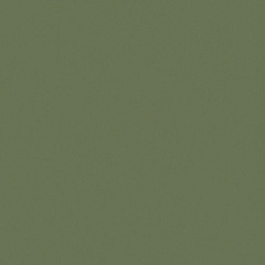 Плитка Rainbow RW 06 Непол.Рект. Green 60 60