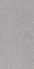 Shellstone Grigio 120х60