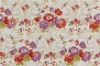 Petracers Primavera Romana Fioritura su Bianco 65 97.7