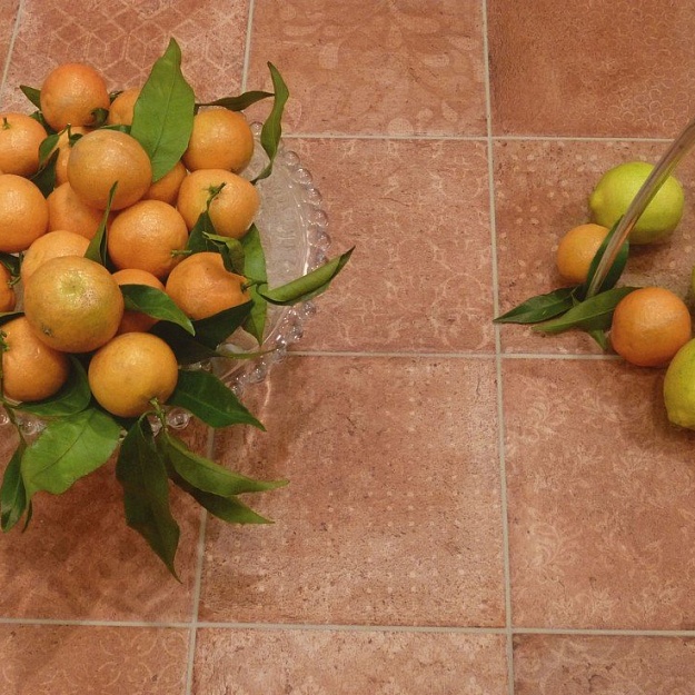 CIR Riabita Il Cotto