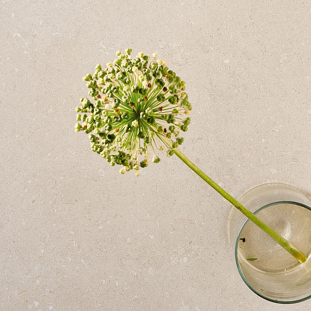 41zero42 Superclassica SCB фото 41zero42 Superclassica SCB