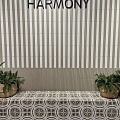 Harmony (by Peronda) Rainbow