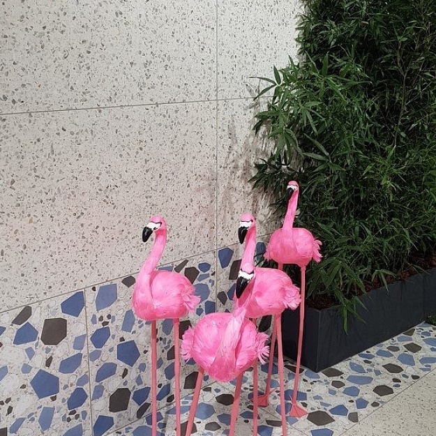 CIR VENEZIA фото CIR VENEZIA