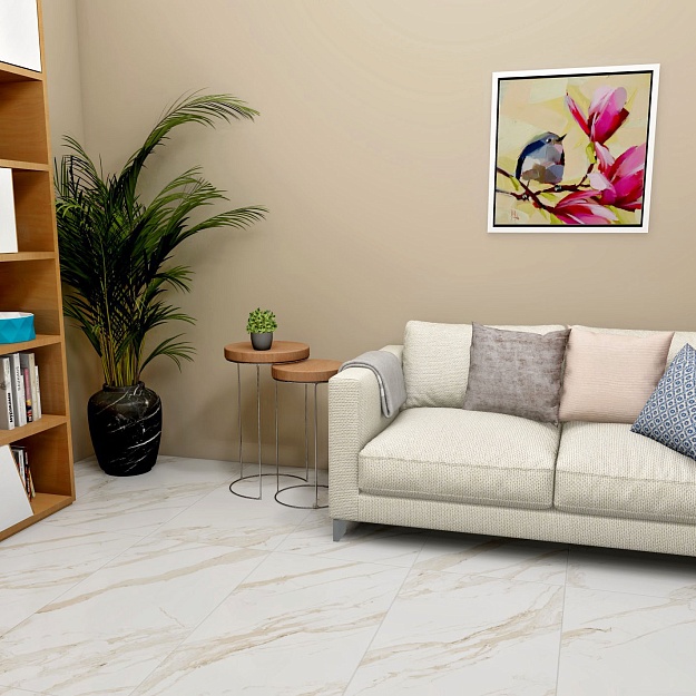 Picture background