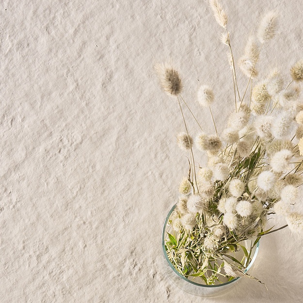 41zero42 Superclassica SCB фото 41zero42 Superclassica SCB